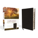 Amplified-Am: Captures the Full Meaning Behind the Original Greek and Hebrew