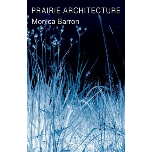 Prairie Architecture