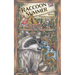 Raccoon Summer