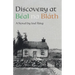 Discovery at Béal na Bláth