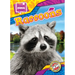 Raccoons