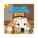 Golden Retriever Puppies