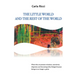 The Little World and the Rest of the World