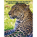 Big-game hunting and trading in Central Africa 1894 to 1904