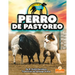 Perro de Pastoreo (Herding Dog)