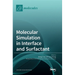 Molecular Simulation in Interface and Surfactant