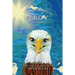 The Adventures of Troy the Bald Eagle