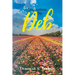 Inspirations By Deb