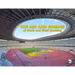 The Art and Science of Track and Field Marking
