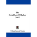 The Social Law Of Labor (1882)