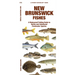 New Brunswick Fishes