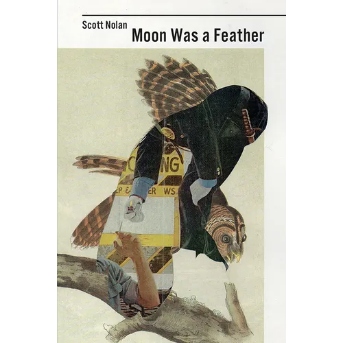 Moon Was a Feather