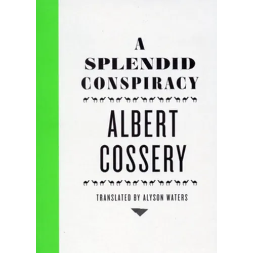 A Splendid Conspiracy
