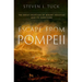 Escape from Pompeii: The Great Eruption of Mount Vesuvius and Its Survivors
