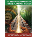 13 Moon Synchronometer: White Planetary Wizard year: July 26 2015 - July 25 2016