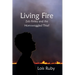 Living Fire: Zeb Finley and the Hornswoggled Thief