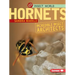 Hornets: Incredible Insect Architects