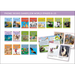 Phonic Books Dandelion World Stages 8-15 (Words with Four Sounds CVCC)