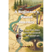 A Beginner's Pastel Journey: Your first steps into the world of soft pastel art