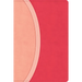 CSB Rainbow Study Bible, Pink Leathertouch (Limited Edition)