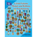 United Nations Medals and Ribbons for Peacekeeping