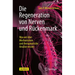 Die Regeneration Von Nerven Und Rückenmark: Was Wir Über Mechanismen Und Therapeutische Ansätze Wissen