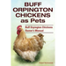 Buff Orpington Chickens as Pets. Buff Orpington Chickens Owner's Manual.