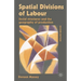 Spatial Divisions of Labour: Social Structures and the Geography of Production