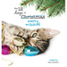 The Twelve Days of Christmas - Merry Mischief