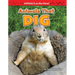 Animals That Dig