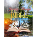Journey Through the Bible in Eleven Months
