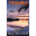 Trouble in a Small Town