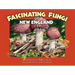 Fascinating Fungi of New England