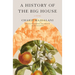 A History of the Big House