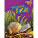 Let's Look at Snails
