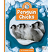 Penguin Chicks