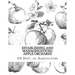 Establishing and Managing Young Apple Orchards