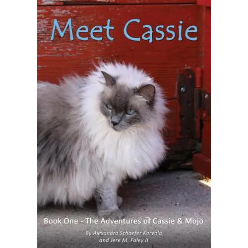 Meet Cassie