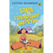 Tara and the Friendship Theorem