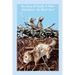 The Story of Stuffy & Other Adventures