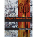 City of a Hundred Fires