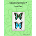 Vibrational Reiki(TM) Level Two Manual
