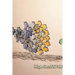 High Shelf XVIII: May 2020