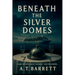 Beneath the Silver Domes