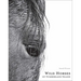 Wild Horses of Cumberland Island