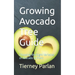Growing Avocado Tree Guide: Choosing the Right Varieties of Avocado to Plant