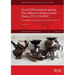 Social Differentiation among Non-Elites in China's Central Plains, 1735-1530 BCE: A household archaeology perspective on the Erlitou site