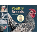 Poultry Breeds: Chickens, Ducks, Geese, Turkeys: The Pocket Guide to 104 Essential Breeds