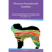 Miniature Aussiedoodle Activities Miniature Aussiedoodle Tricks, Games & Agility Includes: Miniature Aussiedoodle Beginner to Advanced Tricks, Fun Gam