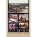 Stockholm: A Cultural History